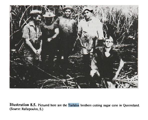 Taifalos Brothers - Silkwood in Far North QLD